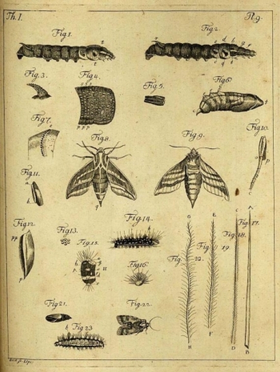 Carl von Geer - Abhandlungen zur Geschichte der Insekten. 1774.