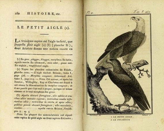 Buffon, G. L. L. - Buffon, G. L. L. de, Histoire naturelle. 35 Bd. 1802 ...