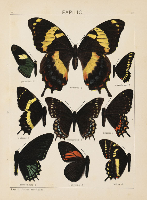 Adalbert Seitz - Die Groß-Schmetterlinge der Erde. 15 Bde. 1907.