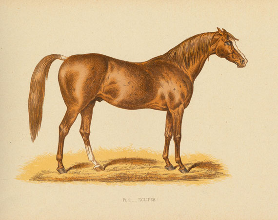 Pferde - S.-F. Touchstone, Chevaux de course. 1889.