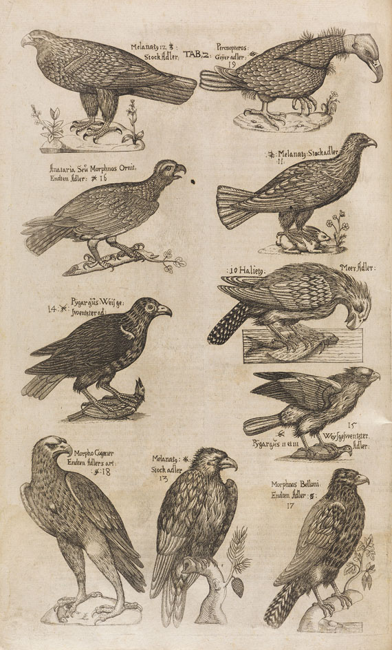 Ulisse Aldrovandi - Ornithologiae. 1610.