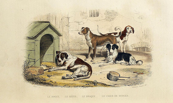 Georges Louis Leclerc de Buffon - Oeuvres. 1839-41. 6 Bde.