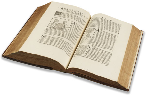 Petrus de Crescentiis - Naturalis historiae opus. 1551 - Weitere Abbildung
