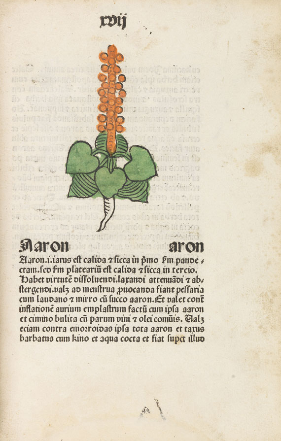   - Herbarius Patavie. 1485.