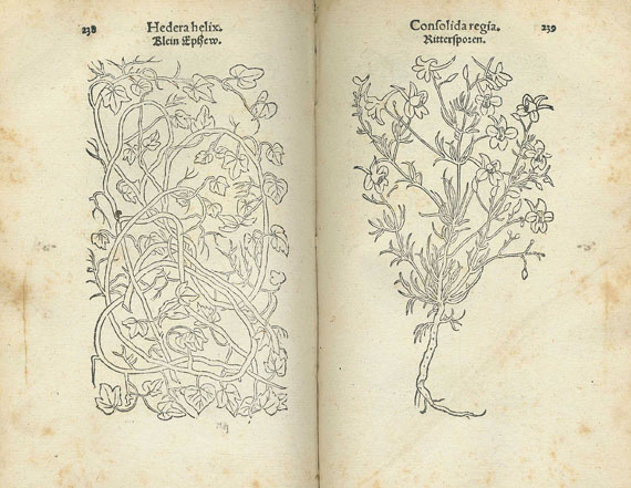 Leonhart Fuchs - De stirpium historia comentariorum ..... 1549