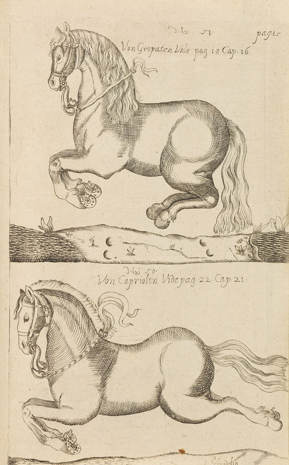  Pferde - Lieb, Chr. J., Practica et arte di cavalleria. - Weitere Abbildung