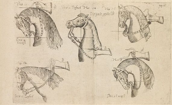 Pferde - Lieb, Chr. J., Practica et arte di cavalleria.
