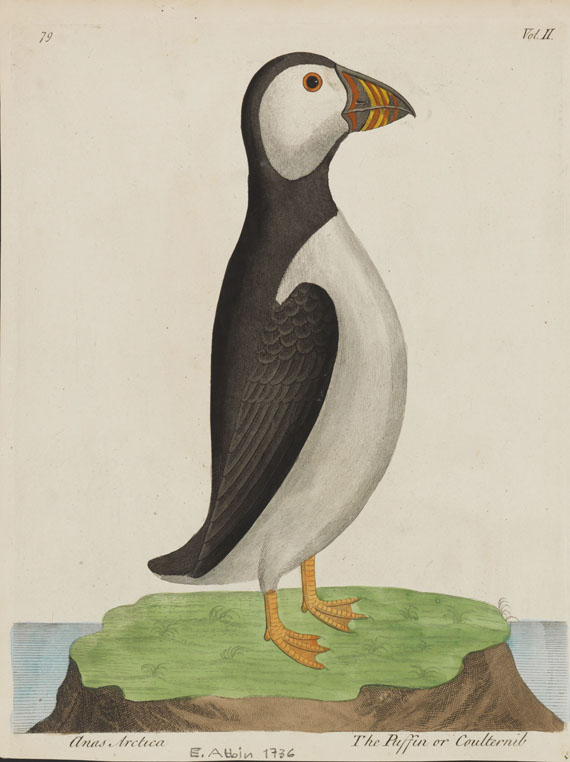 Eleazar Albin - Natural history of birds. 1738.