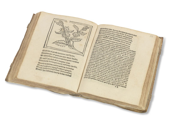 Floridus Macer - (d. i. Odo von Meung), De viribus herbarum. - Weitere Abbildung