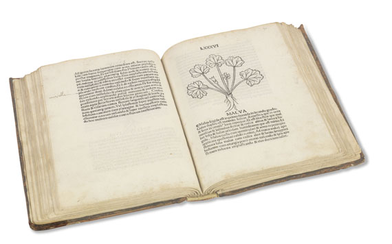Herbarius latinus - Tractatus de virtutibus herbarum.