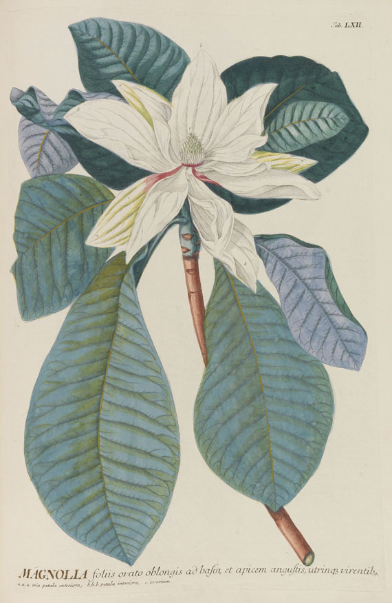 Christoph Jakob Trew - Plantae selectae
