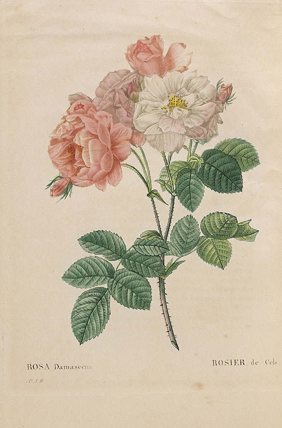 Pierre Joseph Redouté - Les roses. 3 in 2 Bänden