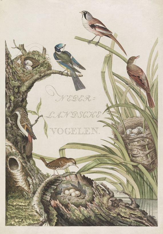 Cornelius Nozeman - Nederlandsche vogelen. 5 Bände, ungebunden in Kassetten