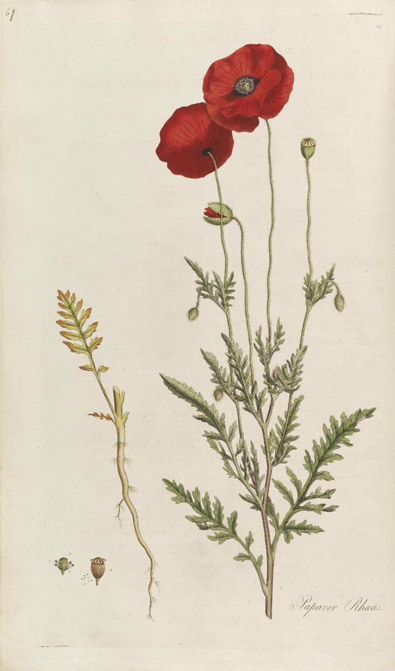 William Curtis - Flora Londinensis