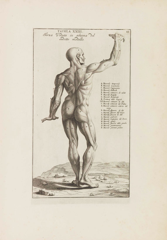 Bernardino Genga - Anatomia per uso et intelligenza del disegno