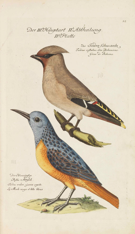 Johann Leonhard Frisch - Vorstellung der Vögel in Deutschland