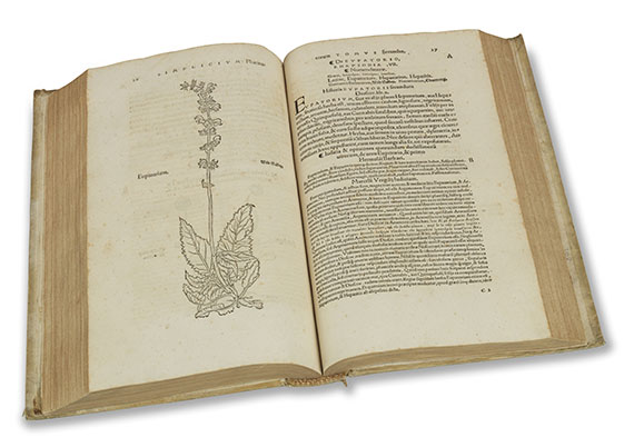 Otto Brunfels - Herbarum vivae eicones, 2 in 1 Band