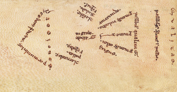 Aristoteles - Logica vetus, Pergamenthandschrift