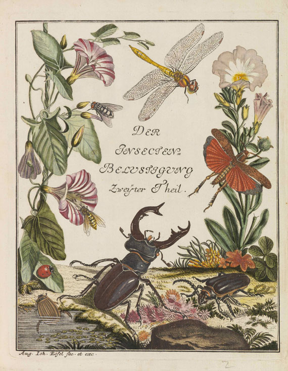 Augustin Johann Rösel von Rosenhof - Insecten-Belustigung. 5 Bände