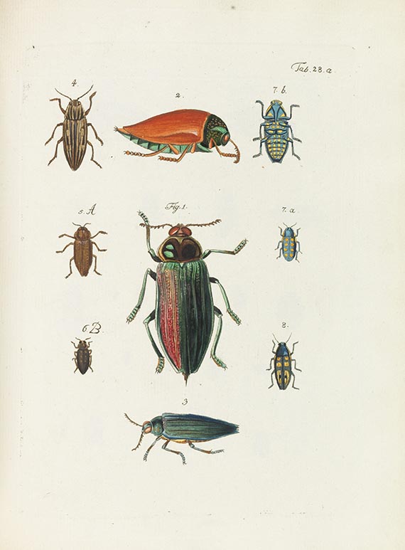 Jean Gaspar Fuessly - Archives de l'histoire dess insectes. Dabei: J. Th. Thomson, Monographie des cicindélides