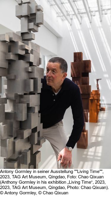 Antony Gormley - Big Witness - Weitere Abbildung