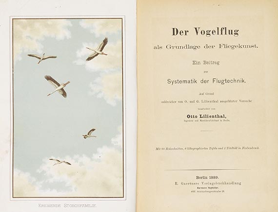 Otto Lilienthal - Der Vogelflug - Weitere Abbildung