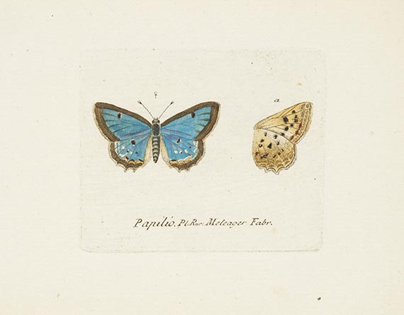 Georg Wolfgang Franz Panzer - Faunae insectorum Germanicae