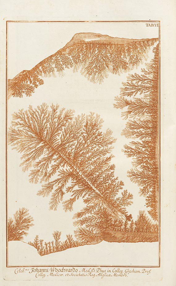 Johann Jakob Scheuchzer - Herbarium Diluvianum collectum. 2 Bände in 1