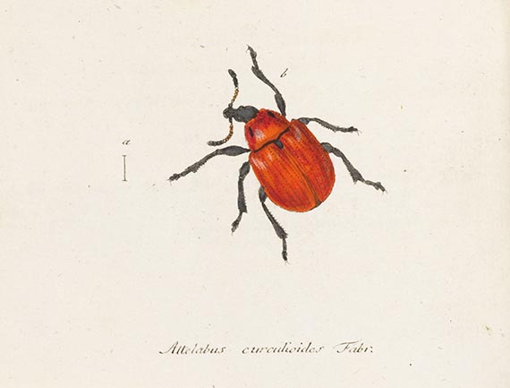 Georg Wolfgang Franz Panzer - Faunae insectorum Germaniae initia, 8 Bände der Reihe