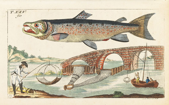 Gottlieb Tobias Wilhelm - Unterhaltungen aus der Naturgeschichte - Weitere Abbildung