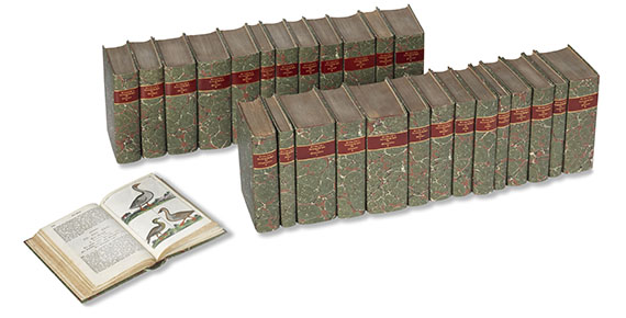 Gottlieb Tobias Wilhelm - Unterhaltungen aus der Naturgeschichte - Weitere Abbildung