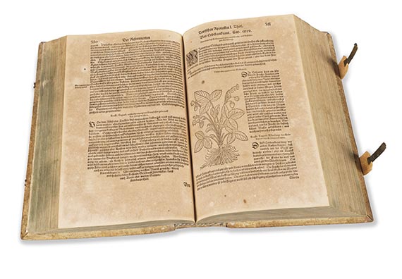 Walther Hermann Ryff - Newe Außgerüste Deütsche Apoteck - Weitere Abbildung