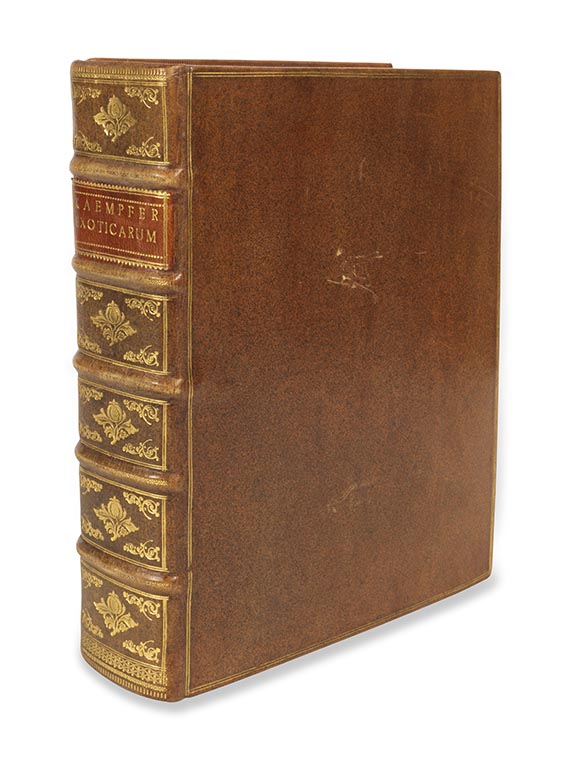 Engelbert Kaempfer - Amoenitatum exoticarum - Weitere Abbildung