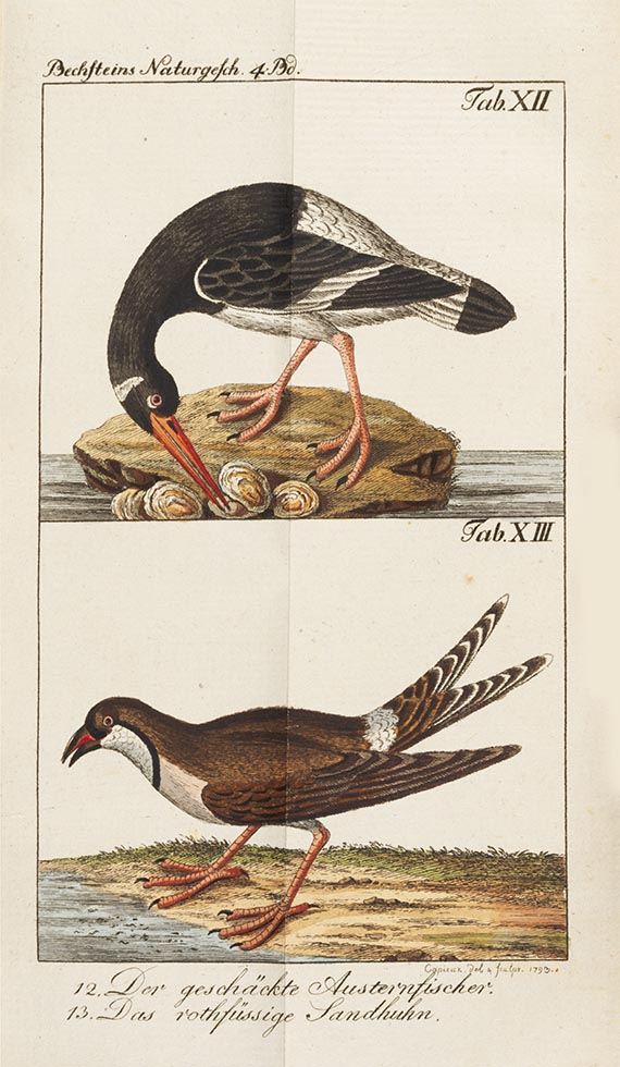 Johann Matthäus Bechstein - Gemeinnützige Naturgeschichte Deutschlands. 4 Bände