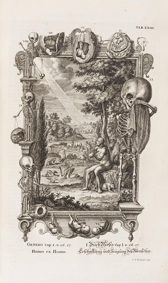 Johann Jakob Scheuchzer - Physica Sacra