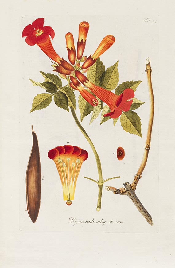 Franz Schmidt - Oesterreichs allgemeine Baumzucht. 3 Tle. in 1 Band