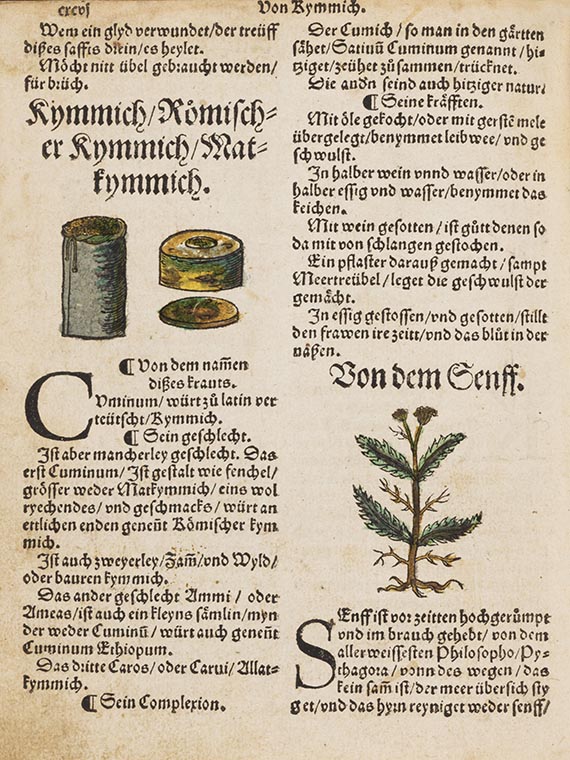 Otto Brunfels - Kreüterbuch contrafayt. - Angebunden: Herbarum imagines vivae (Egenolff 1535) - Weitere Abbildung