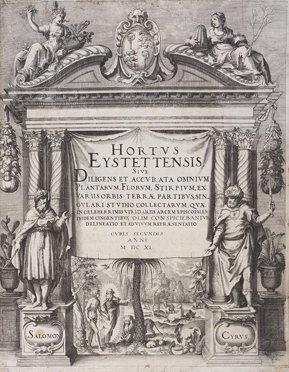 Basilius Besler - Hortus Eystettensis - Weitere Abbildung