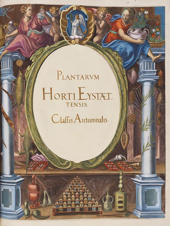 Basilius Besler - Hortus Eystettensis - Weitere Abbildung