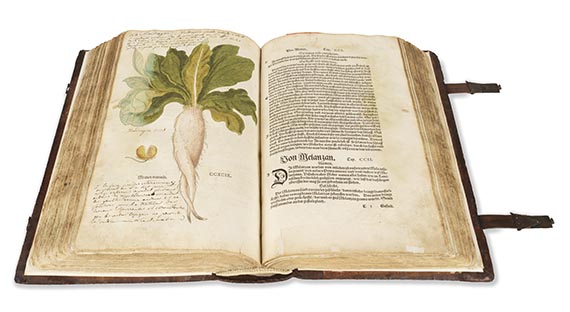Leonhart Fuchs - New Kreüterbuch