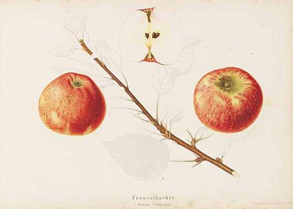   - Schweizerische Obstsorten